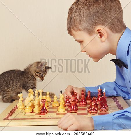 Little chessplayer with a kitten plays chess.