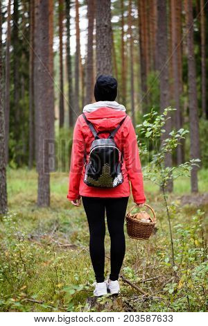 Young Woman In Red Jacket Enjoying Nature In Forest. Latvia