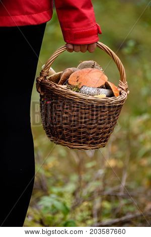 Young Woman In Red Jacket Enjoying Nature In Forest. Latvia