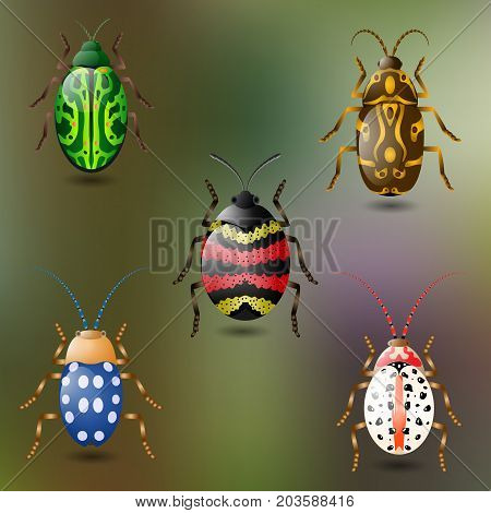 Five colorful beetles green background  and shadows