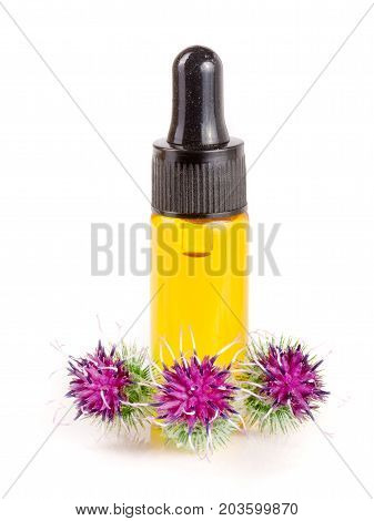 burdock oil in glass bottle and burdock flowers isolated on white background.