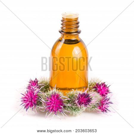 burdock oil in glass bottle and burdock flowers isolated on white background.
