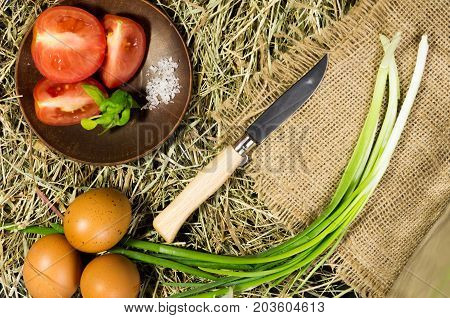 Vegetables Sliced Folding Pocket Knife.