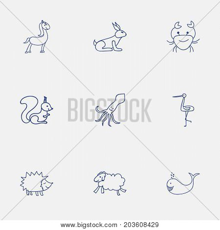 Set Of 9 Editable Zoology Doodles. Includes Symbols Such As Rabbit, Shadoof, Urchin And More