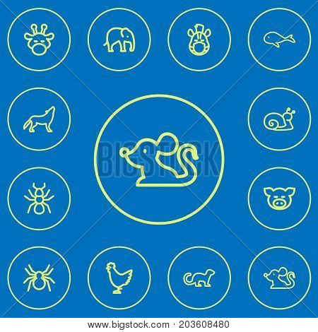 Set Of 12 Editable Zoo Outline Icons. Includes Symbols Such As Cock, Piggy, Spinner And More