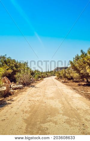 Pine tree grove, road on Kavo Greco in national forest park, Cyprus Ayia Napa, Cape Greco peninsula