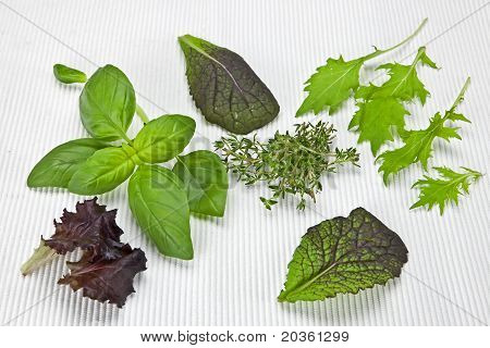Épices et salade verte