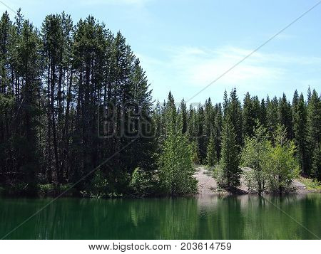 Various kinds of trees reflecting in a green lake in the Deschutes National Forest in Central Oregon on a sunny summer day.