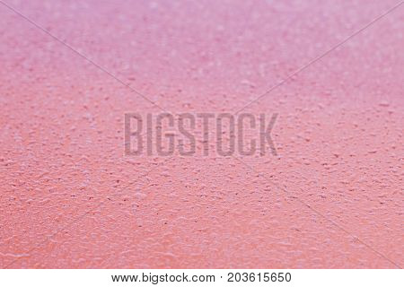 Water Drops On A Glass With Pink Soft Fitter.