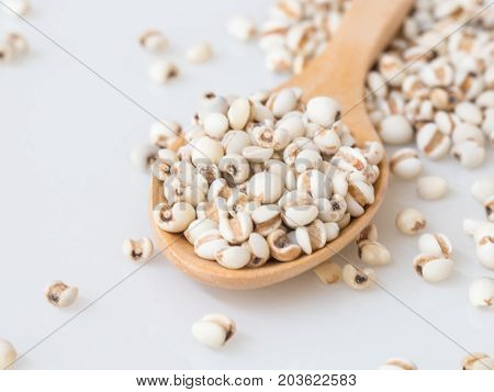 Close up of millet on wooden spoon close up.