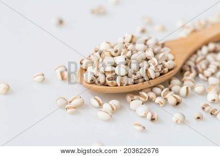 Close up of millet on wooden spoon close up.