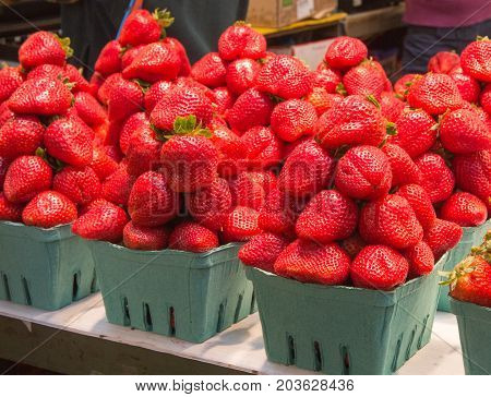 Natural organic strawberries in boxes at a farmers market.