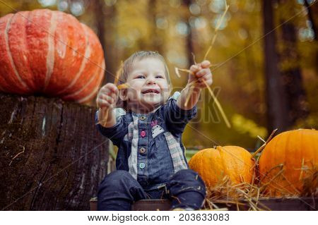 He is sitting and holding hands in the hay, and the next big orange pumpkin.