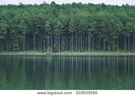 Lake Scenery At Summer In Dalat, Vietnam
