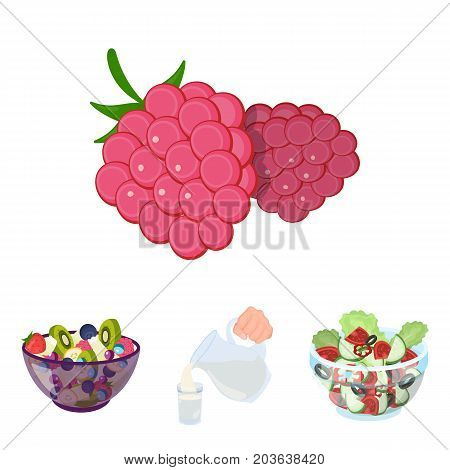 Fruit, vegetable salad and other types of food. Food set collection icons in cartoon style vector symbol stock illustration .