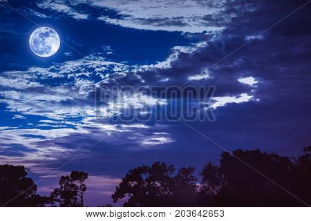 Sky With Clouds And Moon Above Silhouettes Of Trees. Serenity Nature Background.