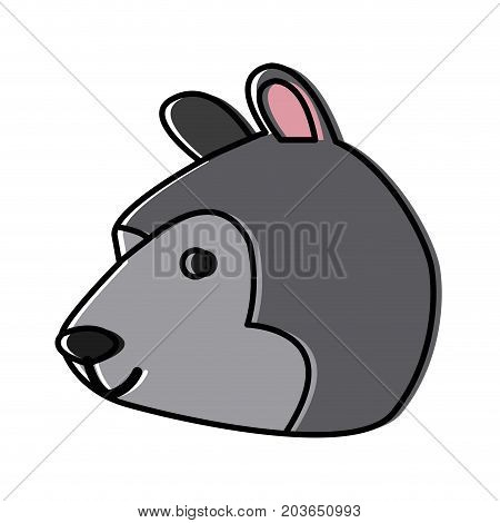 Bear Cartoon Animal