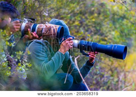 Professional wildlife photographer in forest with very long canon and nikon lenses taking photos of bird