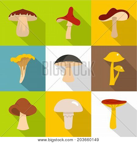 Edible mushrooms icon set. Flat style set of 9 edible mushrooms vector icons for web design