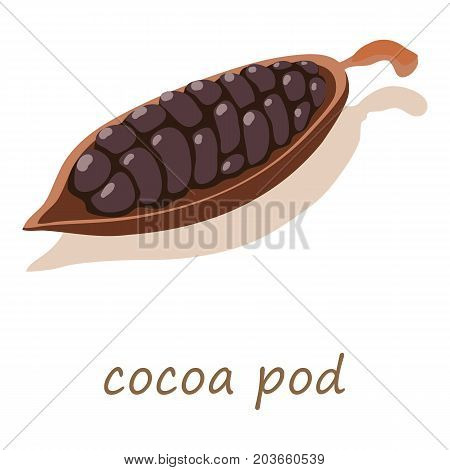Cocoa pod icon. Isometric illustration of cocoa pod vector icon for web