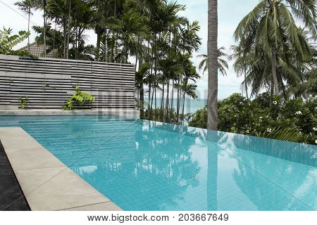 Swimming pool edge the terrace. View of nature fron the terrace.