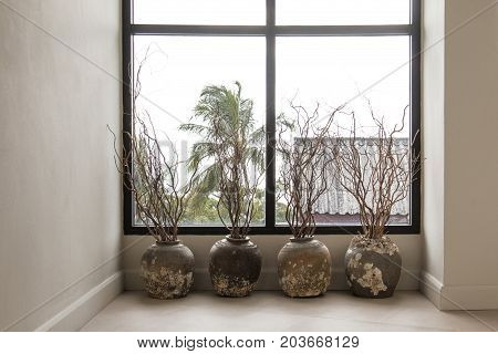 Branch in vase for decoration in home. Barnacle on vase.