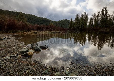 Beautiful nature landscape view of a reflection in the water. Picture taken at Kennedy Lake near Tofino Vancouver Island British Columbia Canada.