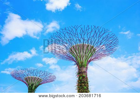 Gardens By The Bay At Singapore