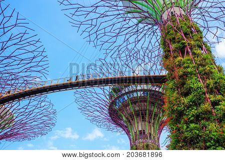 Unidentified Tourist Visited Skyway Of Gardens By The Bay At Singapore