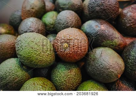 Many Green And Brown Adocados Close Up