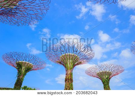 Gardens By The Bay At Singapore