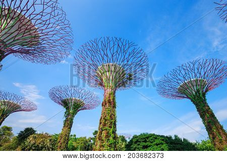 Gardens By The Bay At Singapore