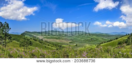 Picturesque mountain panoramic sunny landscape of green mountain hills ridge flowering meadow with lilac wildflowers and beautiful clouds on blue sky at bright summer day - admirable sunshine landscape of Altai mountains Russia