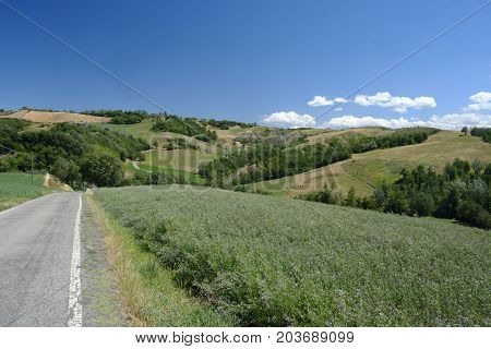 Summer landscape near Rivalta di Lesignano de Bagni (Parma Emilia-Romagna Italy) with the typical rocky inlets