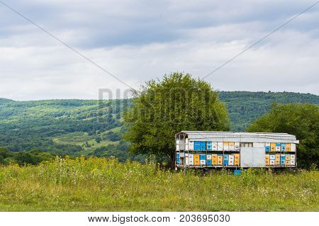 Mobile Apiary Trailer In Meadow. View Of Adygea Republic Nature, Russia