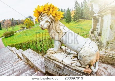 Ancient Sculpture Of A Lion With Maple Leaves On His Head In An Autumn Park