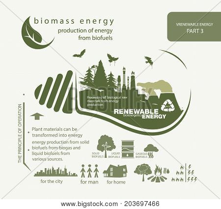 infographics renewable source of biomass energy and operation