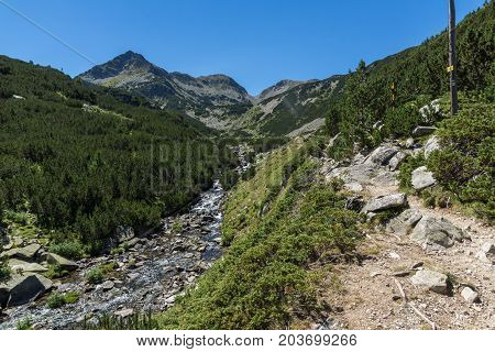 Amazing landscape with Valyavitsa river, Pirin Mountain, Bulgaria