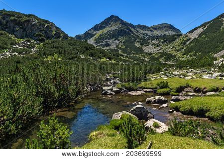 Amazing landscape with Valyavitsa river and Valyavishki chukar peak, Pirin Mountain, Bulgaria