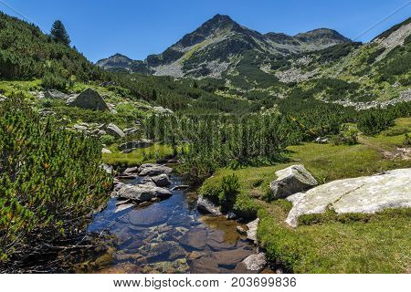 Amazing landscape with Valyavitsa river and Valyavishki chukar peak, Pirin Mountain, Bulgaria
