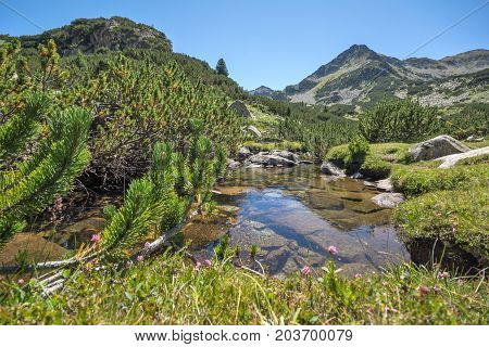 Amazing landscape with Valyavitsa river and Valyavishki chukar peak, Pirin Mountain, Bulgaria