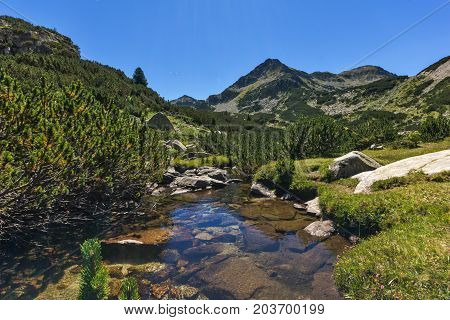 Amazing landscape with Valyavitsa river and Valyavishki chukar peak, Pirin Mountain, Bulgaria