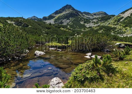 Amazing landscape with Valyavitsa river and Valyavishki chukar peak, Pirin Mountain, Bulgaria
