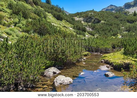 Amazing landscape with Valyavitsa river and Valyavishki chukar peak, Pirin Mountain, Bulgaria