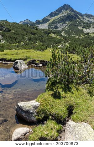 Amazing landscape with Valyavitsa river and Valyavishki chukar peak, Pirin Mountain, Bulgaria
