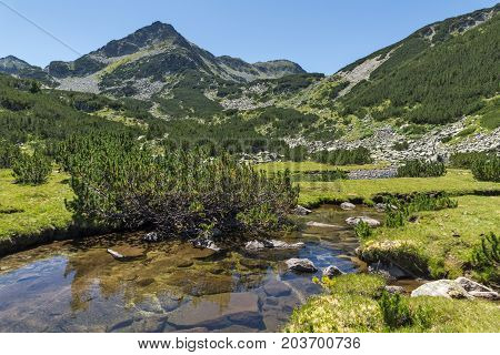Amazing landscape with Valyavitsa river and Valyavishki chukar peak, Pirin Mountain, Bulgaria
