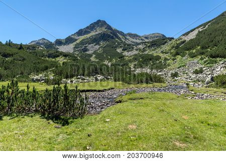 Amazing landscape with Valyavitsa river and Valyavishki chukar peak, Pirin Mountain, Bulgaria