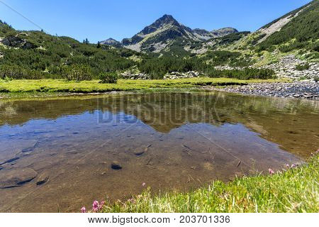 Amazing landscape with Valyavitsa river and Valyavishki chukar peak, Pirin Mountain, Bulgaria