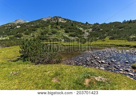 Amazing landscape with Valyavitsa river, Pirin Mountain, Bulgaria
