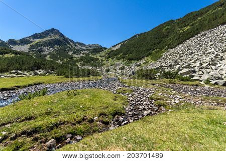Amazing landscape with Valyavitsa river and Valyavishki chukar peak, Pirin Mountain, Bulgaria